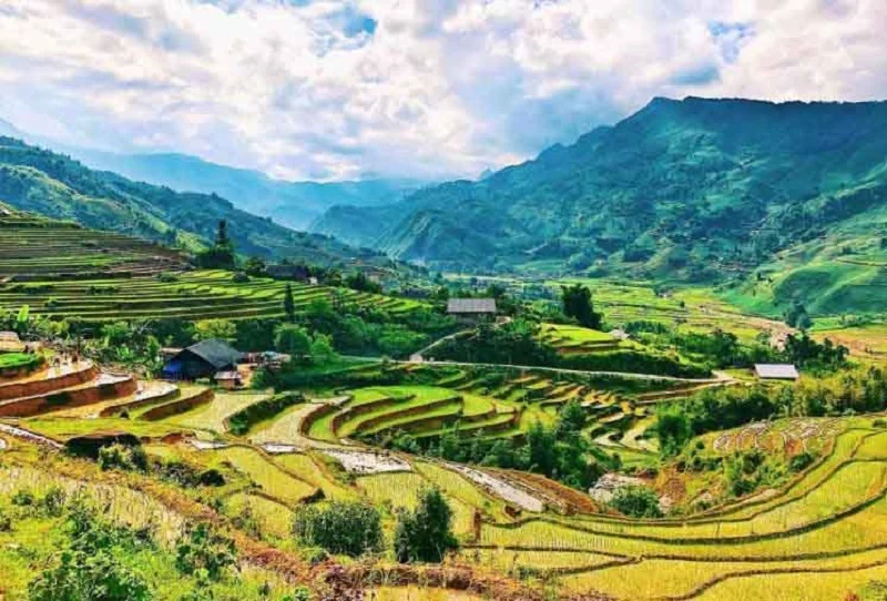 3-Day Sapa Trekking Tour: Y Linh Ho, Lao Chai, Ta Van, Ban Ho, Nam Tong, Thanh Phu & My Son